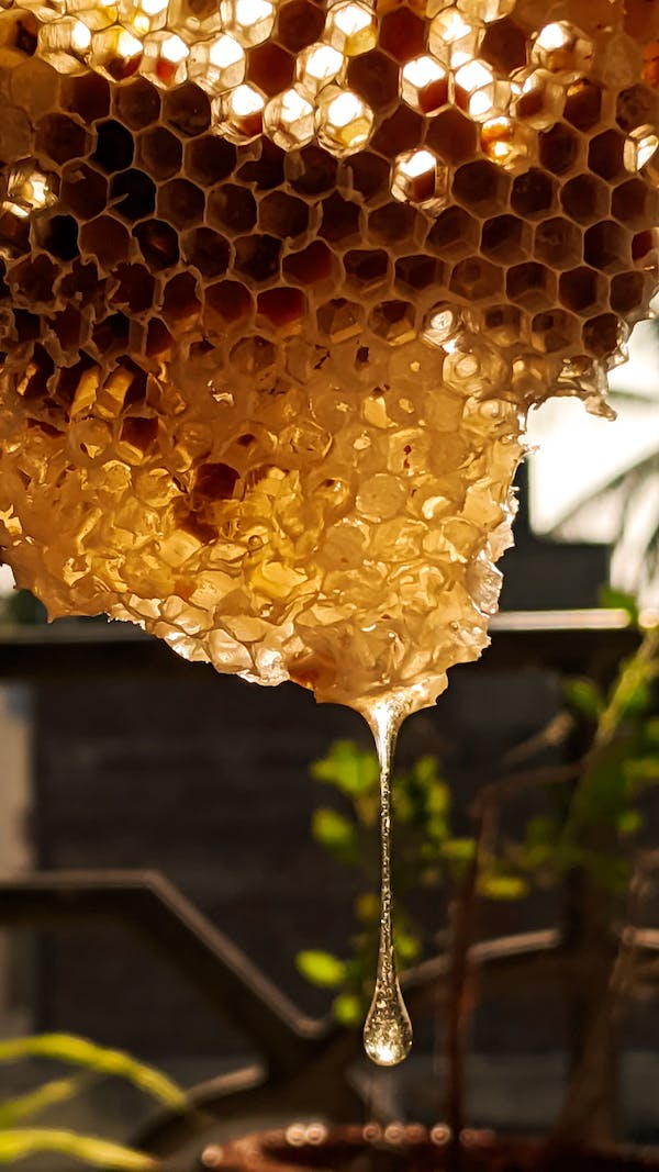 Honey Face Mask