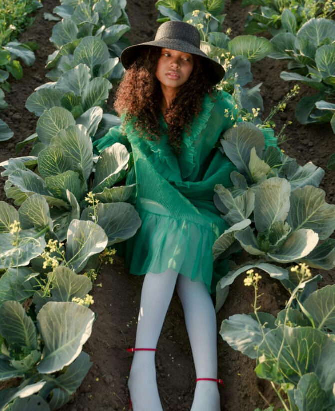 Benefits of Eating Cabbage