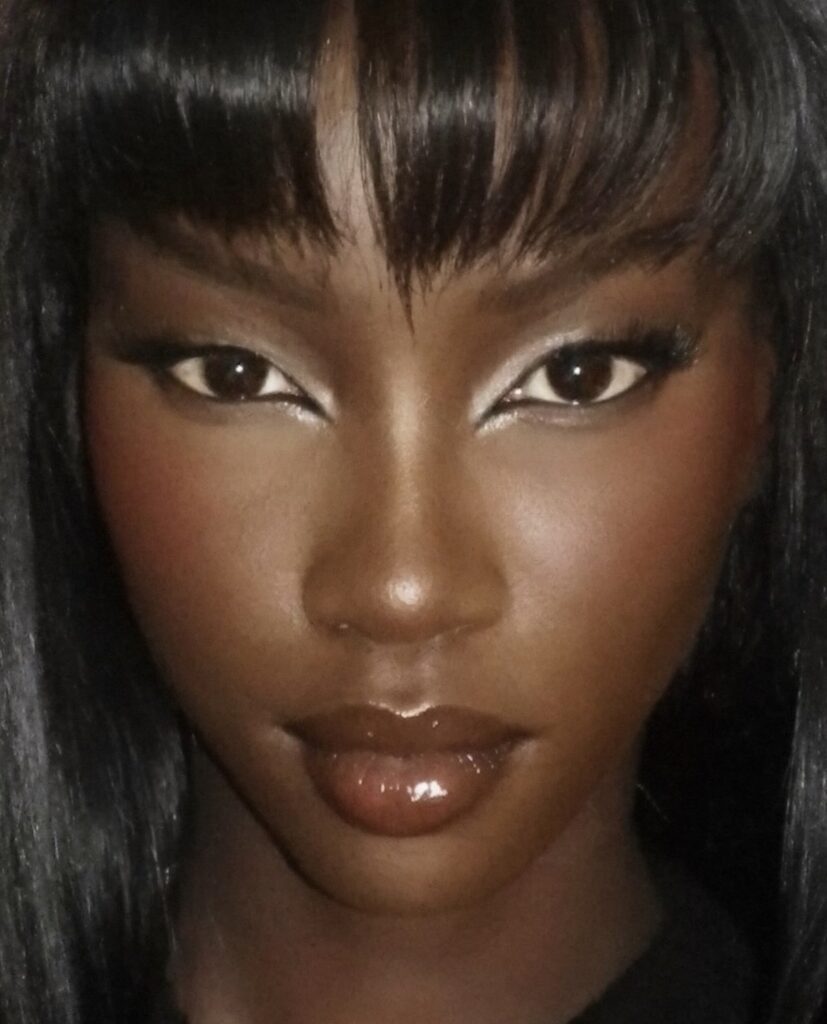Master and Perfect Inner Corner Eyeliner